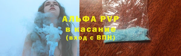индика Абаза