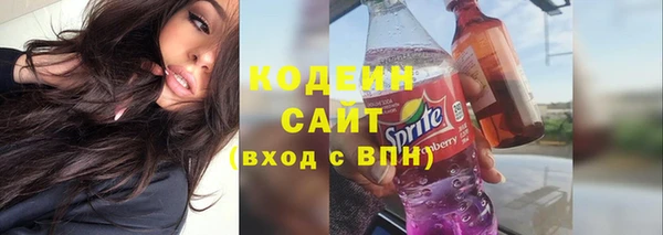 сатива Покачи