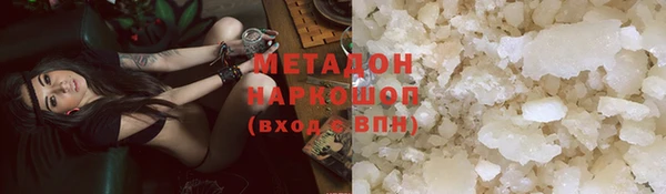 индика Абаза