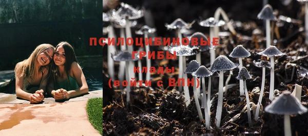 индика Абаза