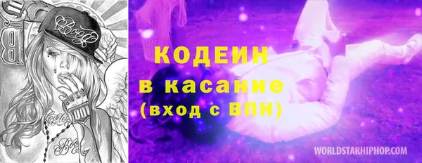 индика Абаза