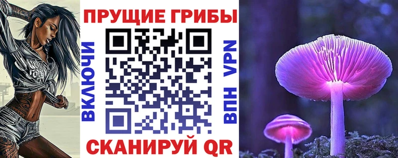 Псилоцибиновые грибы мицелий Яранск