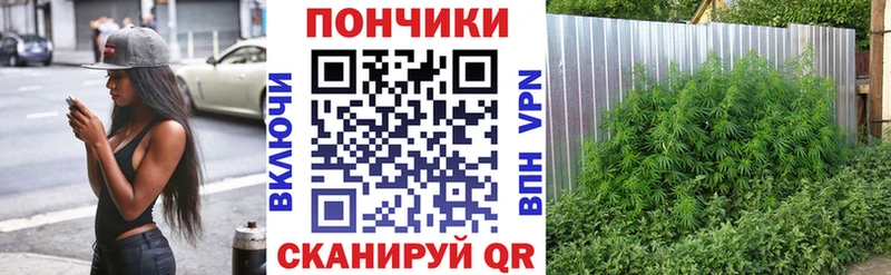дарнет шоп  Яранск  Шишки марихуана AK-47 